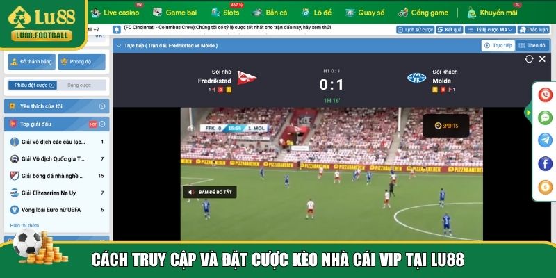 Tham gia trải nghiệm kèo nhà cái VIP LU88